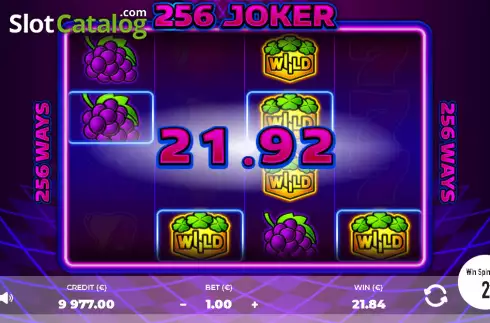 Οθόνη3. 256 Joker Κουλοχέρης