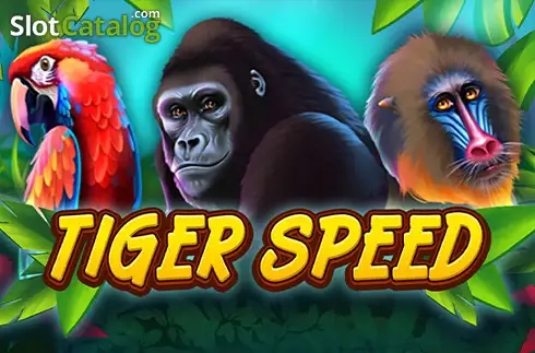 Tiger Speed 2025-12-04