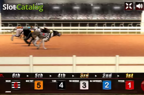 Οθόνη4. Greyhound Racing (Urgent Games) Κουλοχέρης