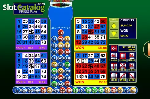 Οθόνη3. Bingo 3 Κουλοχέρης