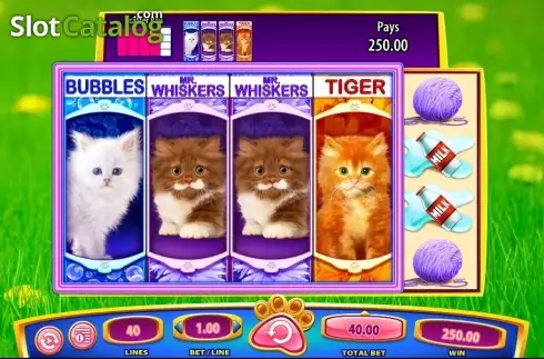 Οθόνη9. OMG! Kittens Κουλοχέρης