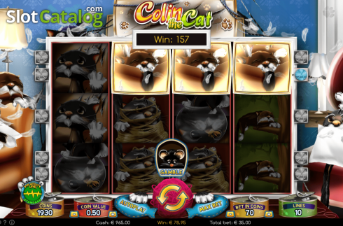 Οθόνη5. Colin the Cat Κουλοχέρης