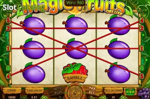 Οθόνη5. Magic Fruits Deluxe Κουλοχέρης