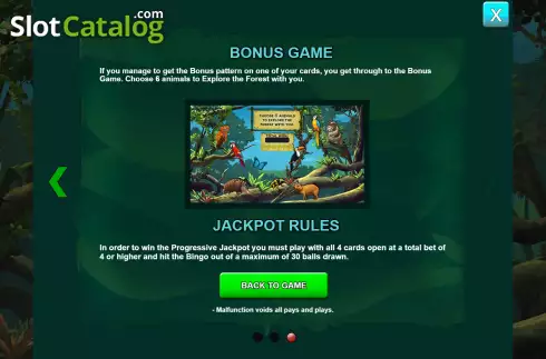 Οθόνη9. Amazonia Bingo Κουλοχέρης