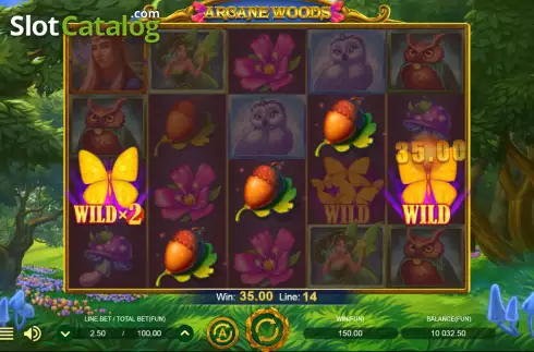 Οθόνη4. Arcane Woods Κουλοχέρης