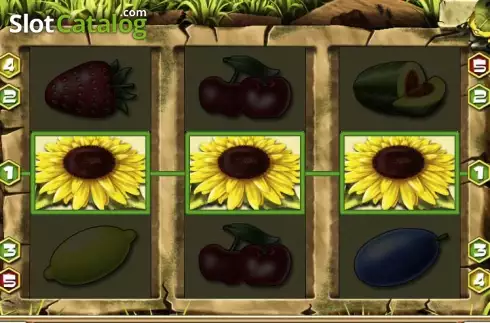 Οθόνη4. Honey Bee Κουλοχέρης