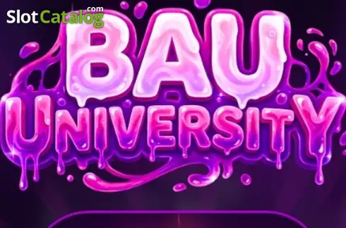BAU UNIVERSITY