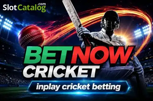 Betnow Cricket Λογότυπο Betnow Cricket Λογότυπο