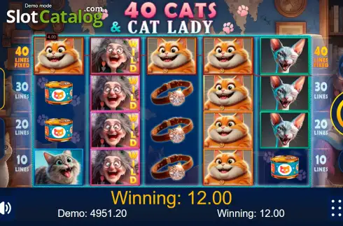 Οθόνη3. 40 Cats And Cat Lady Κουλοχέρης