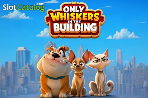 Only Whiskers in the Building Κουλοχέρης 