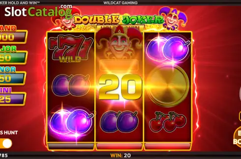 Οθόνη3. Double Joker Hold & Win Κουλοχέρης